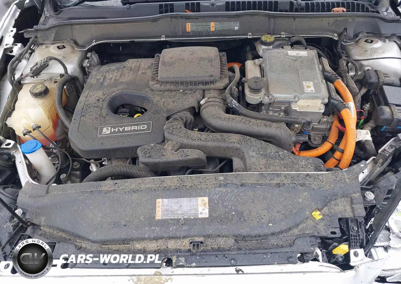 2019 Ford Fusion Hybrid Se VIN:3FA6P0LU9KR264217 - 10