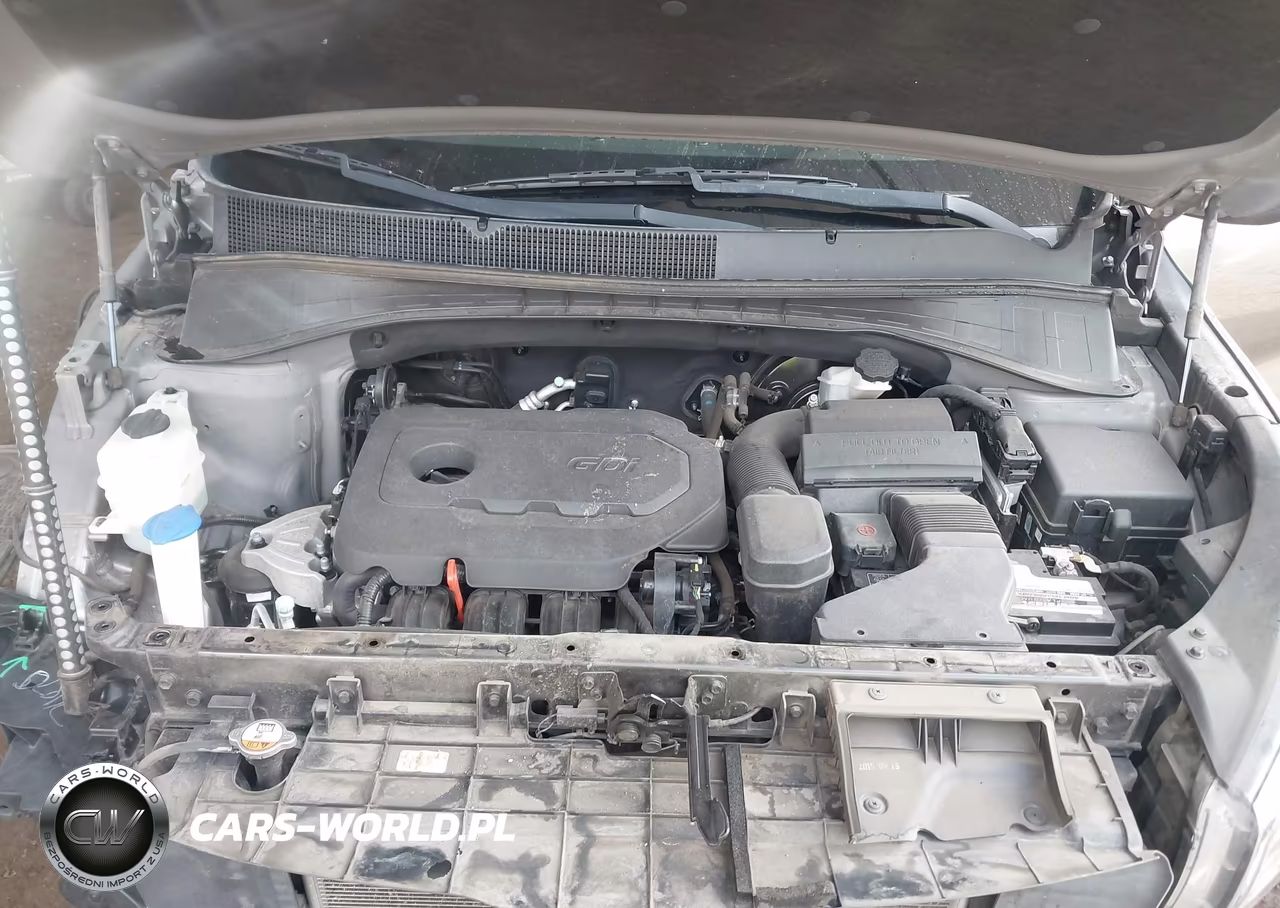 2016 Kia Sorento 2.4L Lx VIN:5XYPG4A35GG158008 - 10