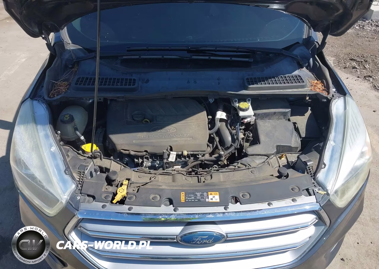 2017 Ford Escape Se VIN:1FMCU0GD2HUC28172 - 10
