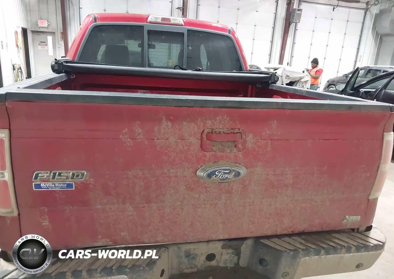 2010 Ford F-150 Fx4-Harley-Davidson-King Ranch-Lariat-Platinum-Xl-Xlt VIN:1FTFW1EV8AFB22316 - 16