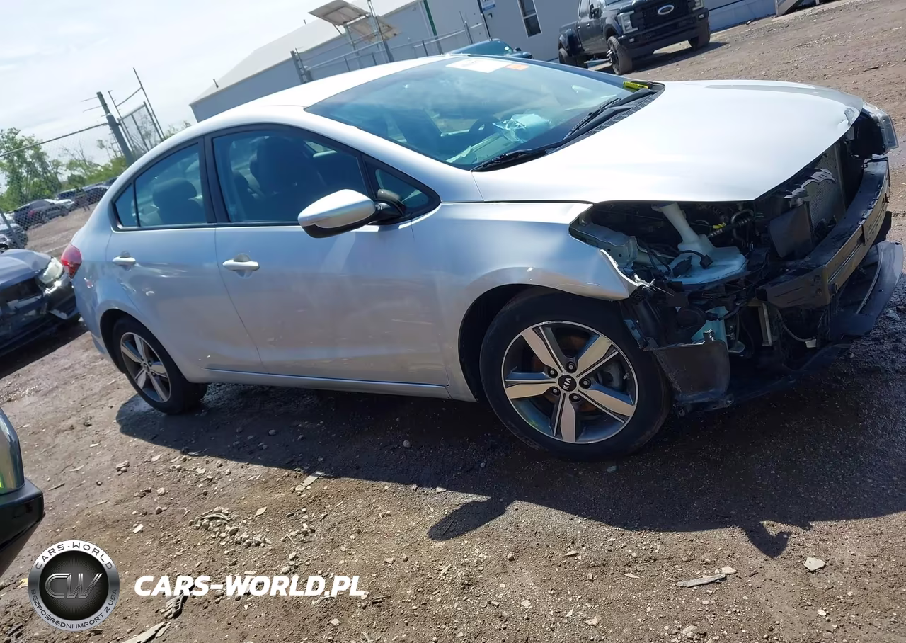 2018 Kia Forte Lx VIN:3KPFL4A78JE202744 - 13