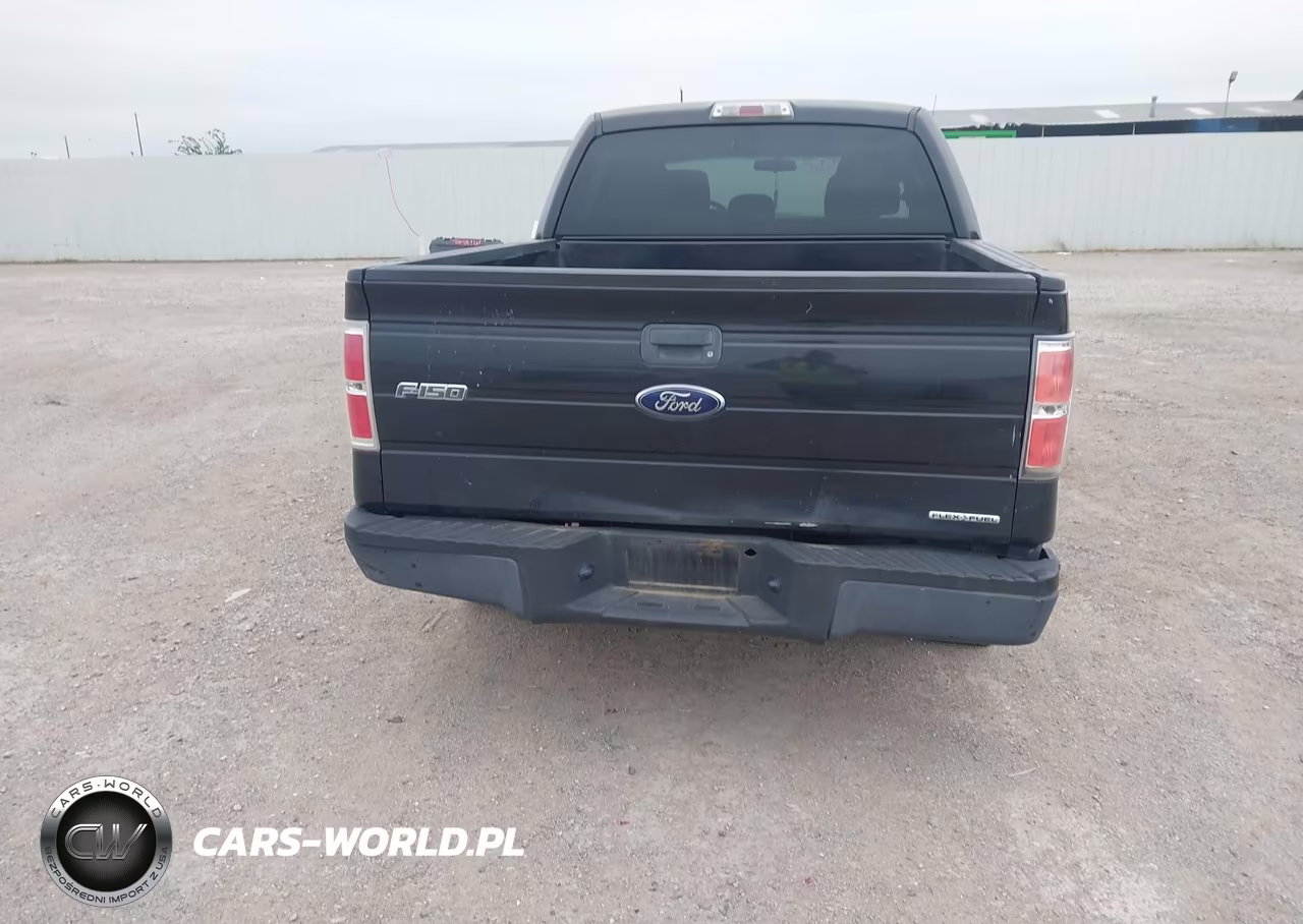2014 Ford F-150 Stx VIN:1FTEW1CM3EKE06391 - 16