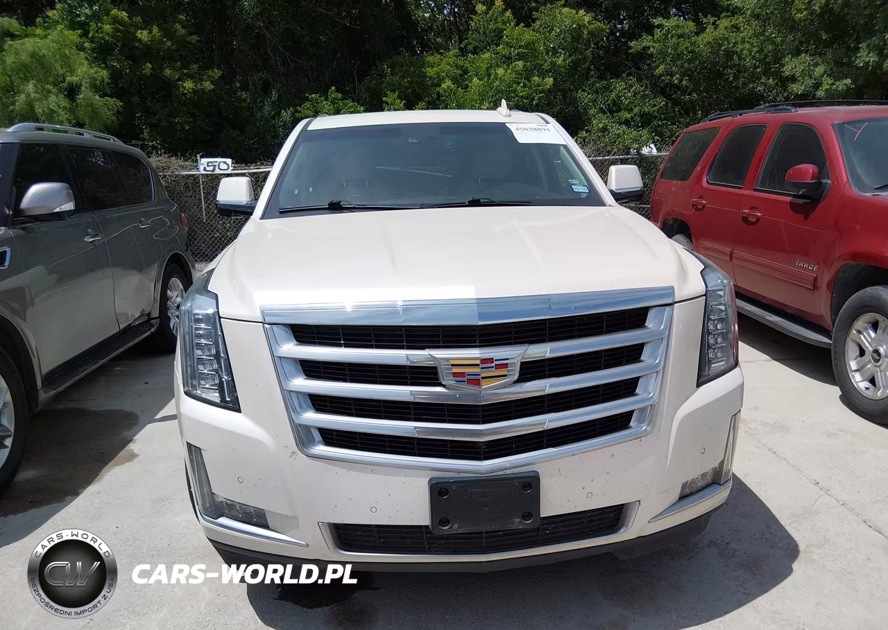 2015 Cadillac Escalade Luxury VIN:1GYS4MKJ9FR521338 - 12