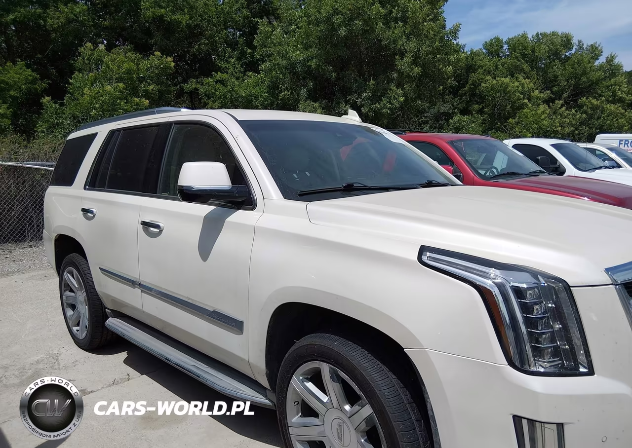 2015 Cadillac Escalade Luxury VIN:1GYS4MKJ9FR521338 - 13