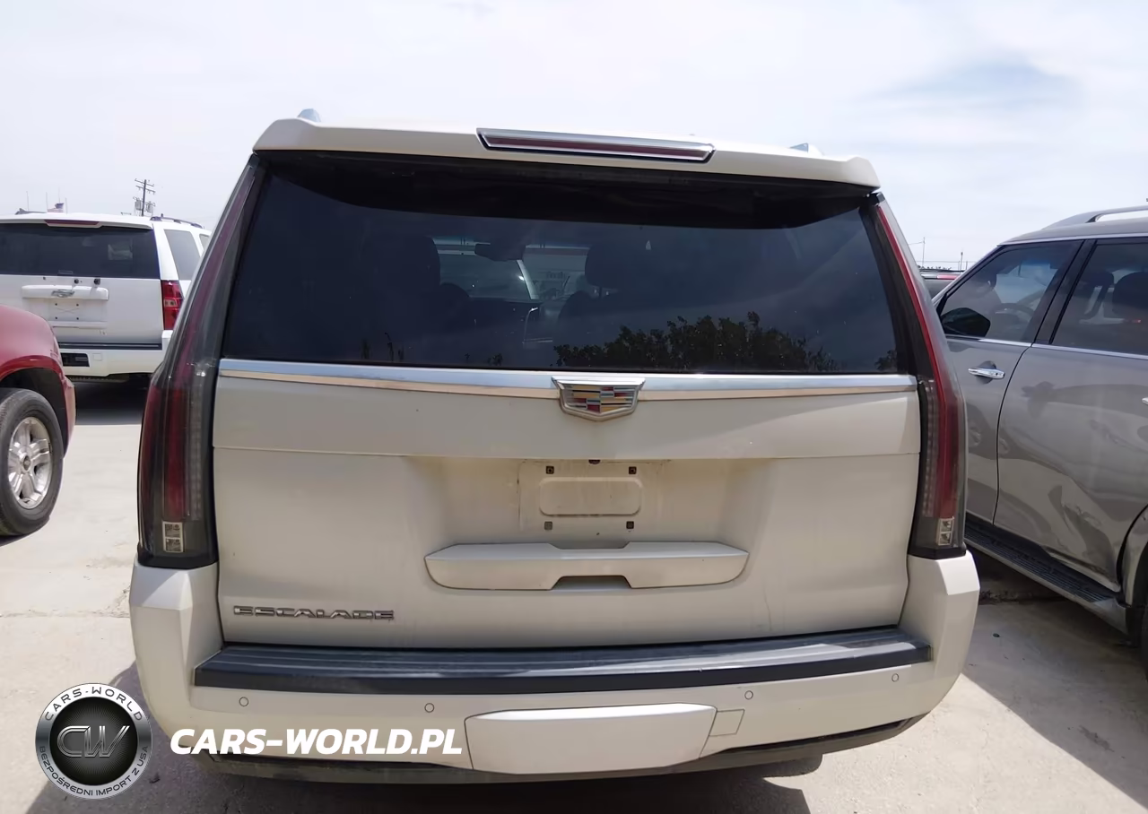 2015 Cadillac Escalade Luxury VIN:1GYS4MKJ9FR521338 - 16