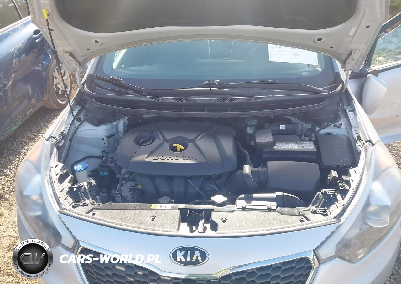 2016 Kia Forte Lx VIN:KNAFK4A61G5456579 - 10