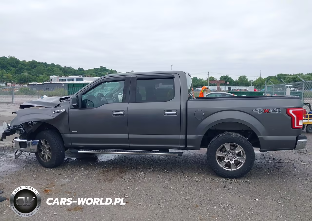 2015 Ford F-150 Xlt VIN:1FTEW1EP2FKE68373 - 15
