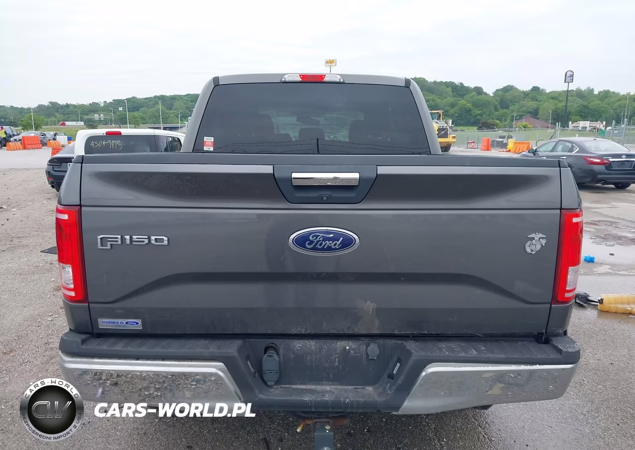2015 Ford F-150 Xlt VIN:1FTEW1EP2FKE68373 - 17