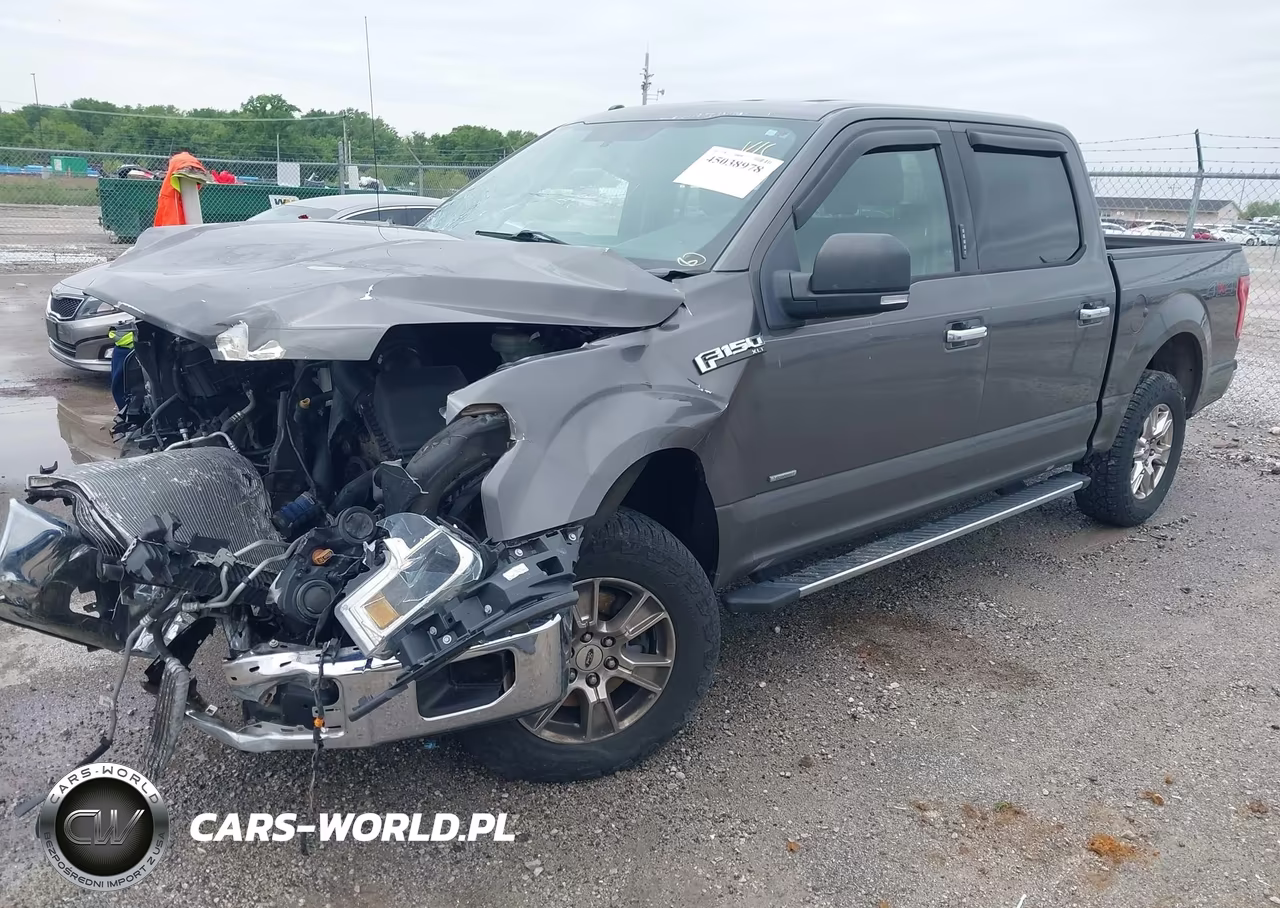 2015 Ford F-150 Xlt VIN:1FTEW1EP2FKE68373 - 2