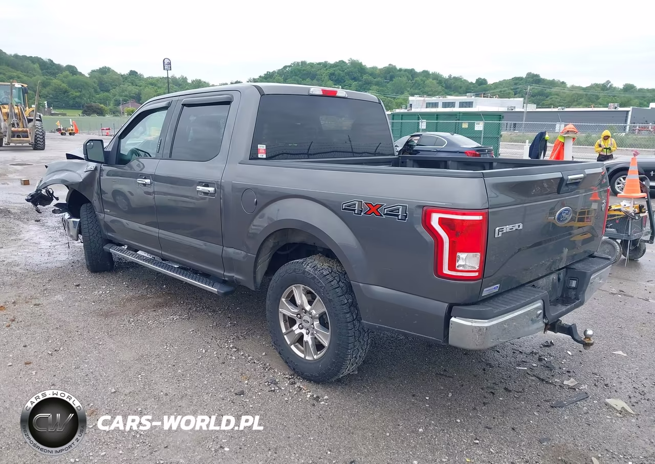 2015 Ford F-150 Xlt VIN:1FTEW1EP2FKE68373 - 3