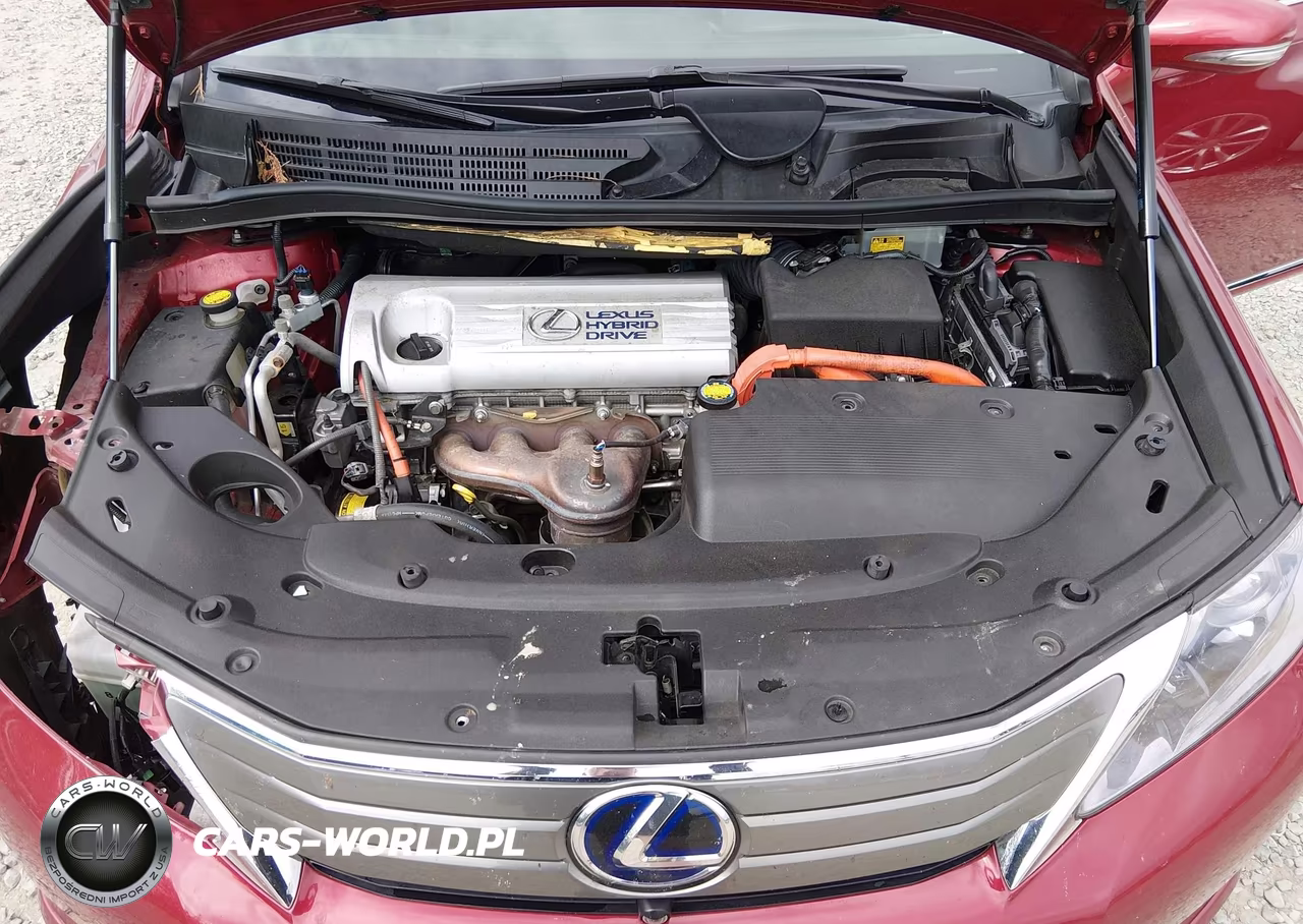 2010 Lexus Hs 250H Premium VIN:JTHBB1BA9A2020704 - 10