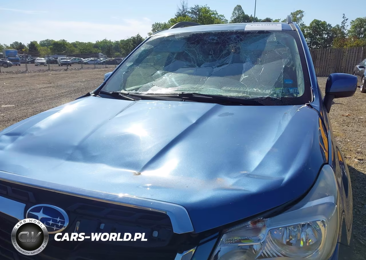 2017 Subaru Forester 2.5I Premium VIN:JF2SJAGC2HH531971 - 6