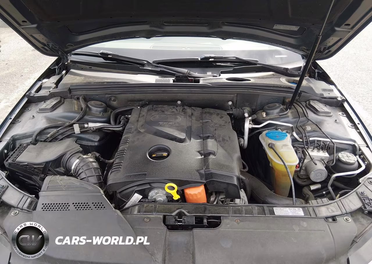 2010 Audi A4 2.0T Premium VIN:WAUBFAFLXAN006484 - 10