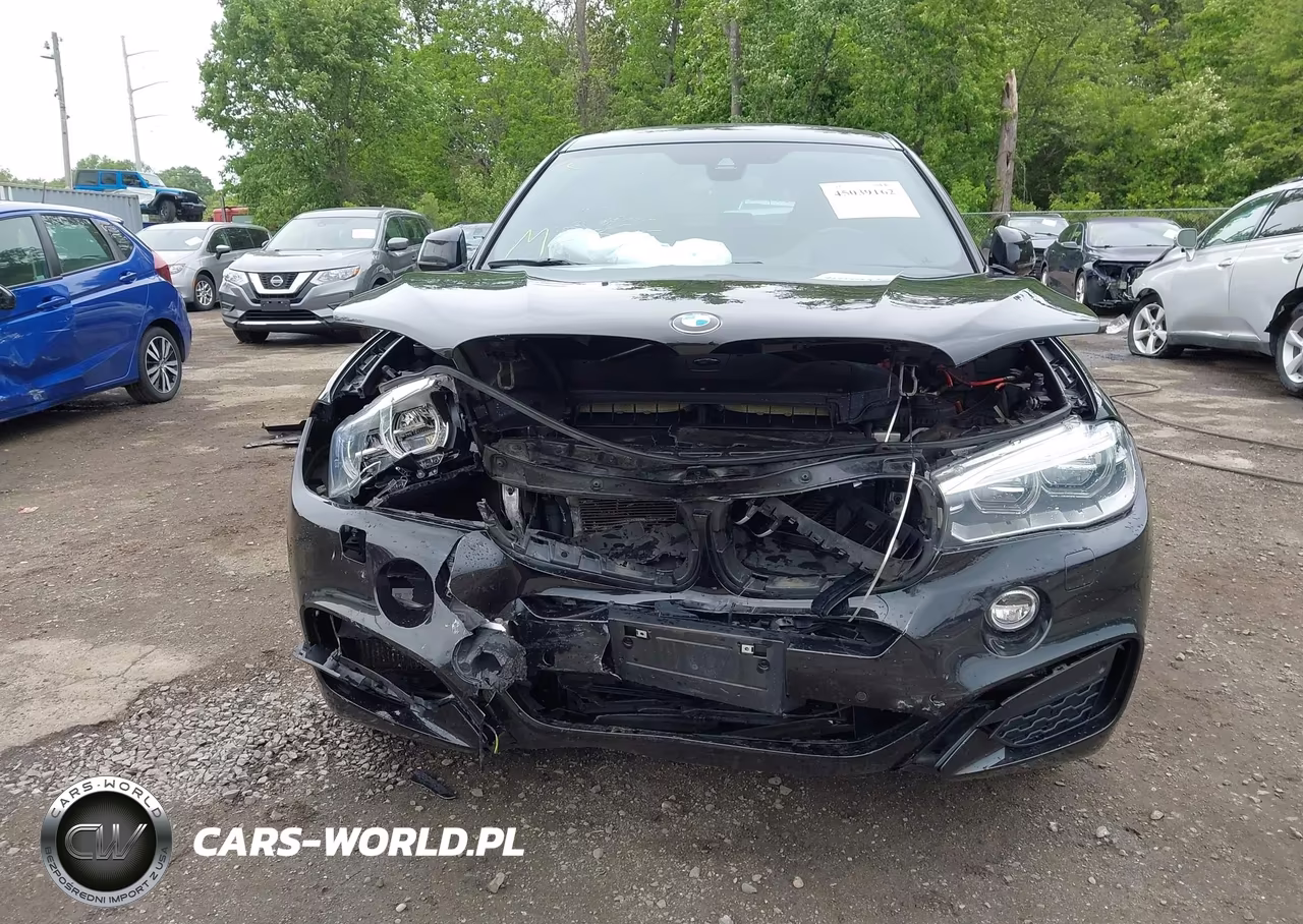 2016 BMW X6 xDrive50I VIN:5UXKU6C5XG0R99971 - 11