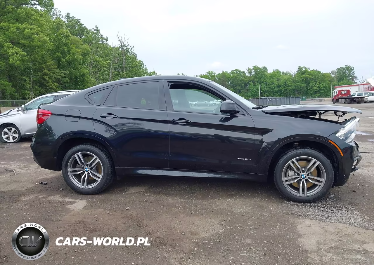 2016 BMW X6 xDrive50I VIN:5UXKU6C5XG0R99971 - 12