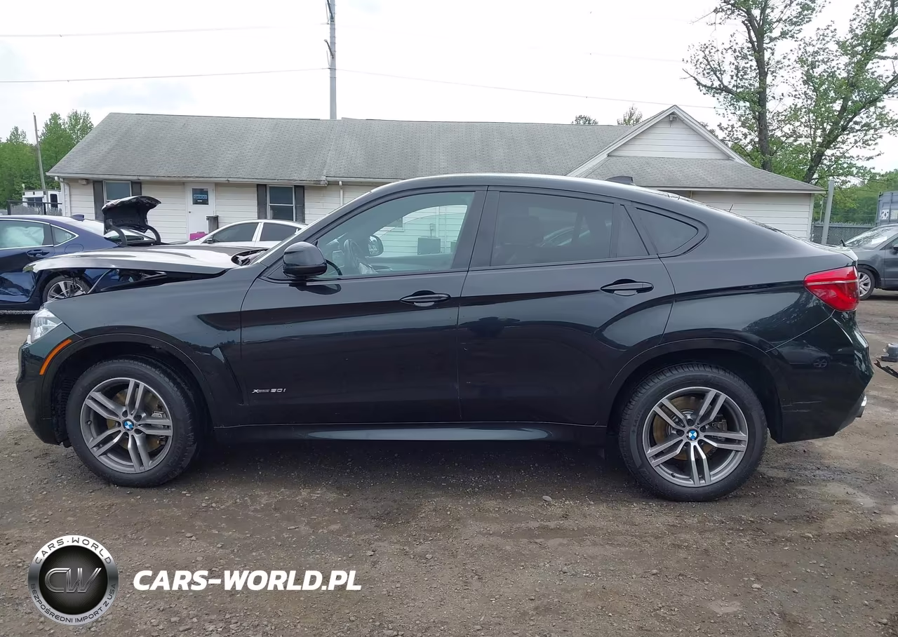 2016 BMW X6 xDrive50I VIN:5UXKU6C5XG0R99971 - 13
