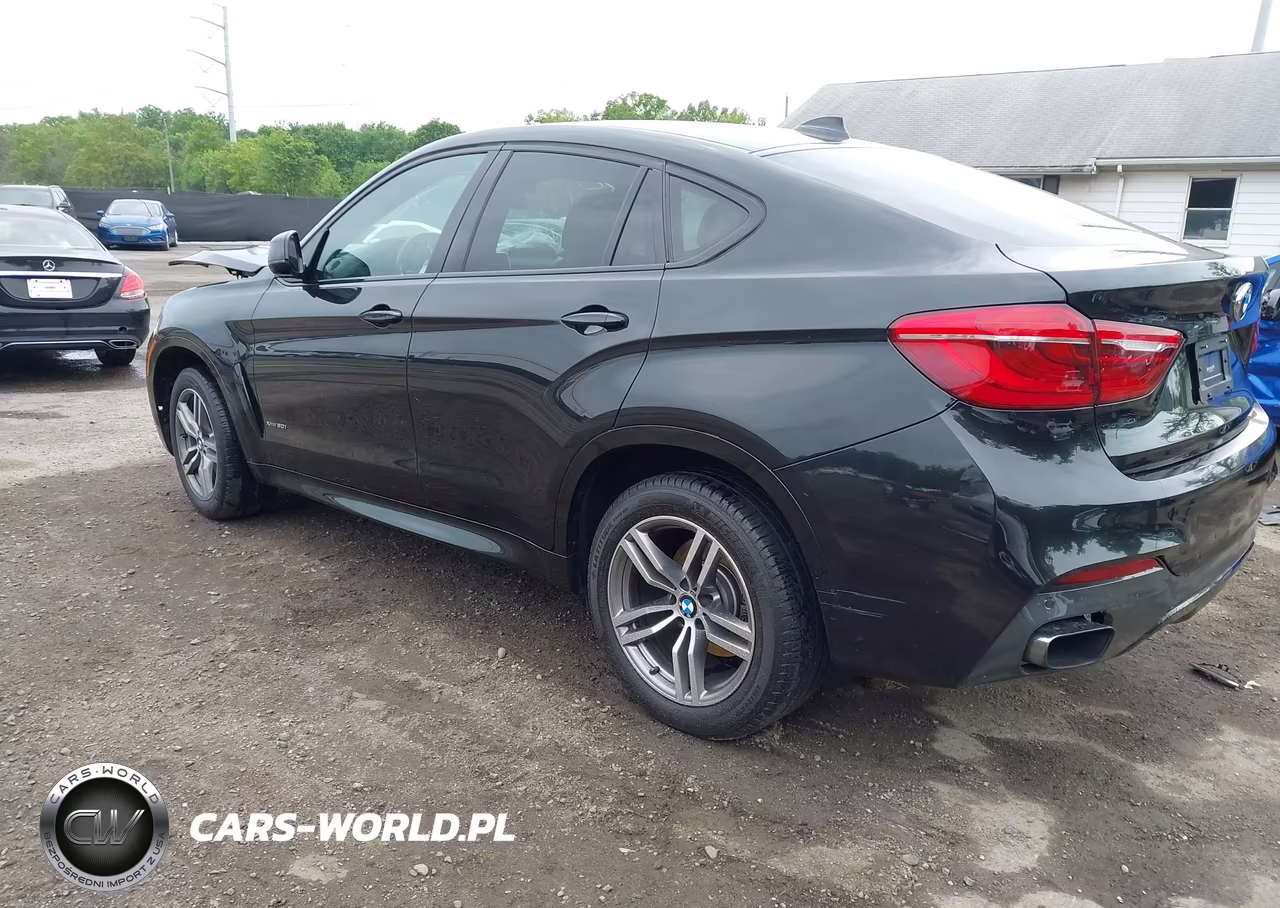 2016 BMW X6 xDrive50I VIN:5UXKU6C5XG0R99971 - 3