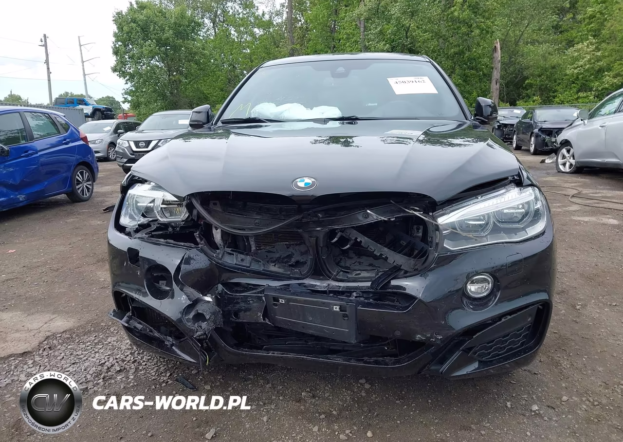 2016 BMW X6 xDrive50I VIN:5UXKU6C5XG0R99971 - 6
