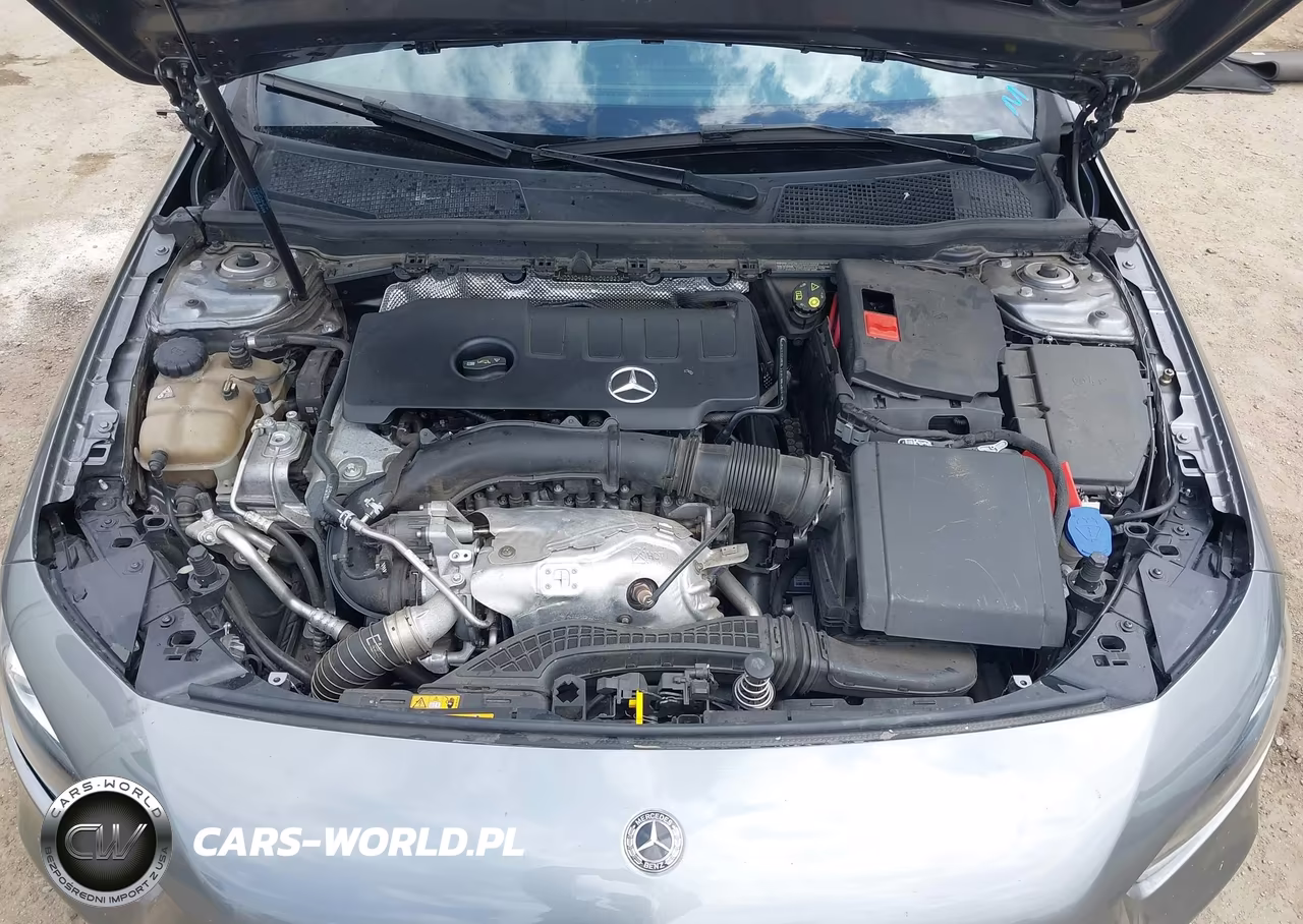 2019 Mercedes-Benz A 220 VIN:WDD3G4EB2KW020623 - 10