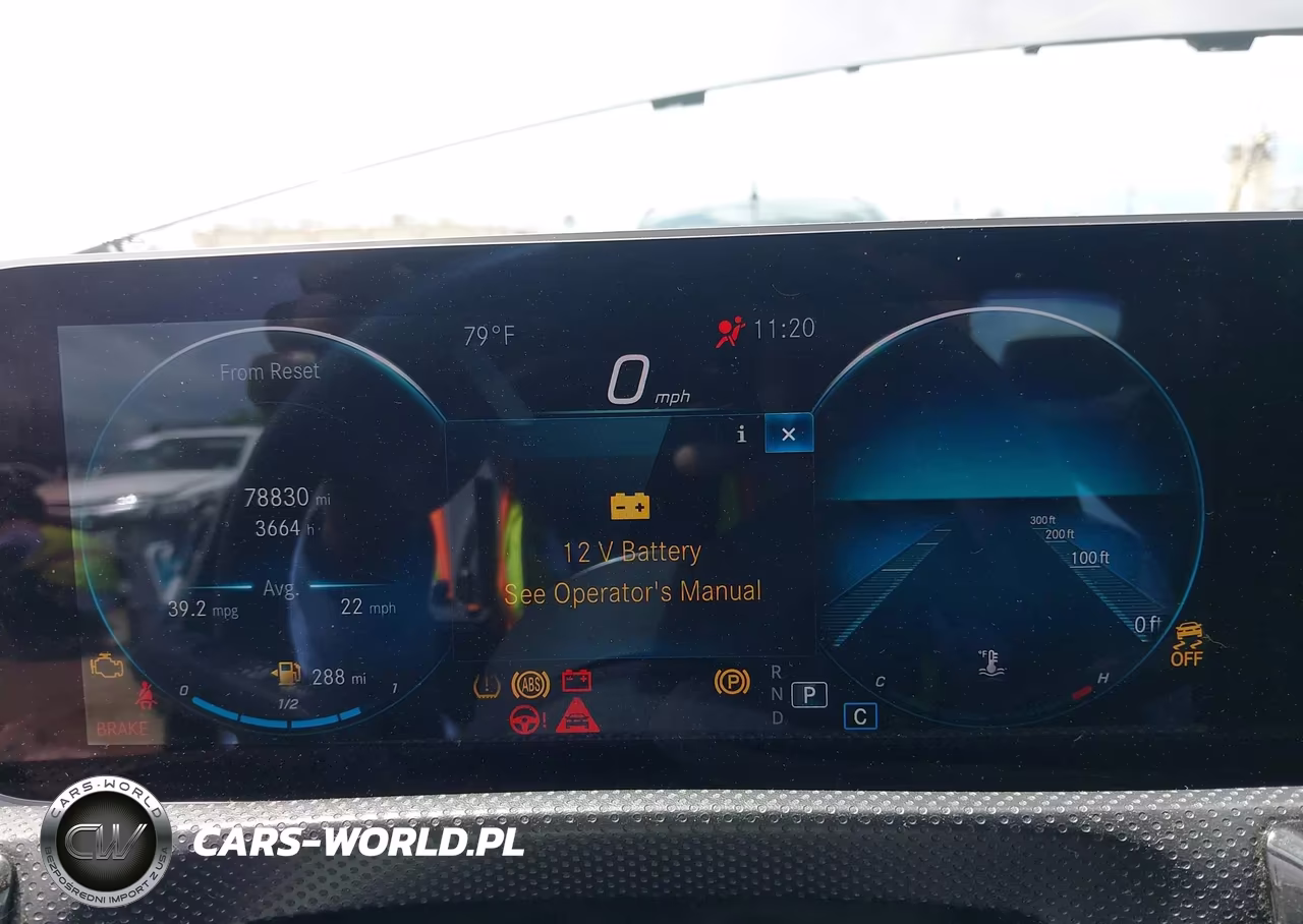 2019 Mercedes-Benz A 220 VIN:WDD3G4EB2KW020623 - 7