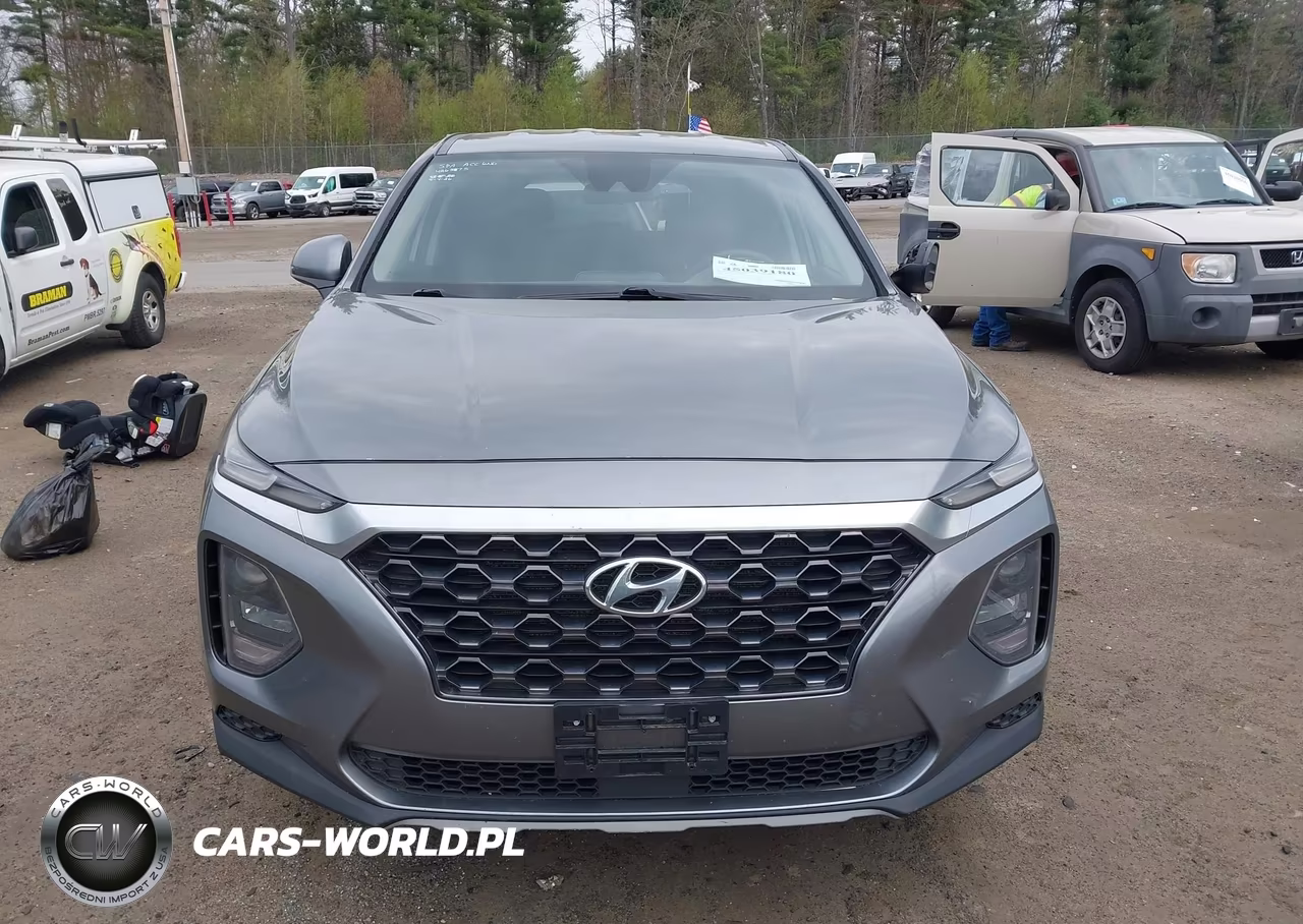 2019 Hyundai Santa Fe Se VIN:5NMS23AD9KH089298 - 12