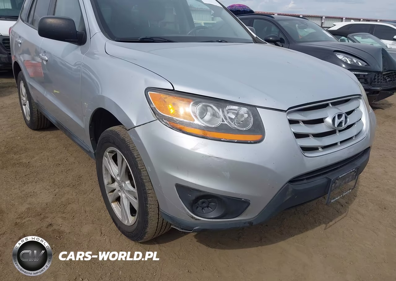 2010 Hyundai Santa Fe Gls VIN:5NMSGDAB3AH416007 - 12