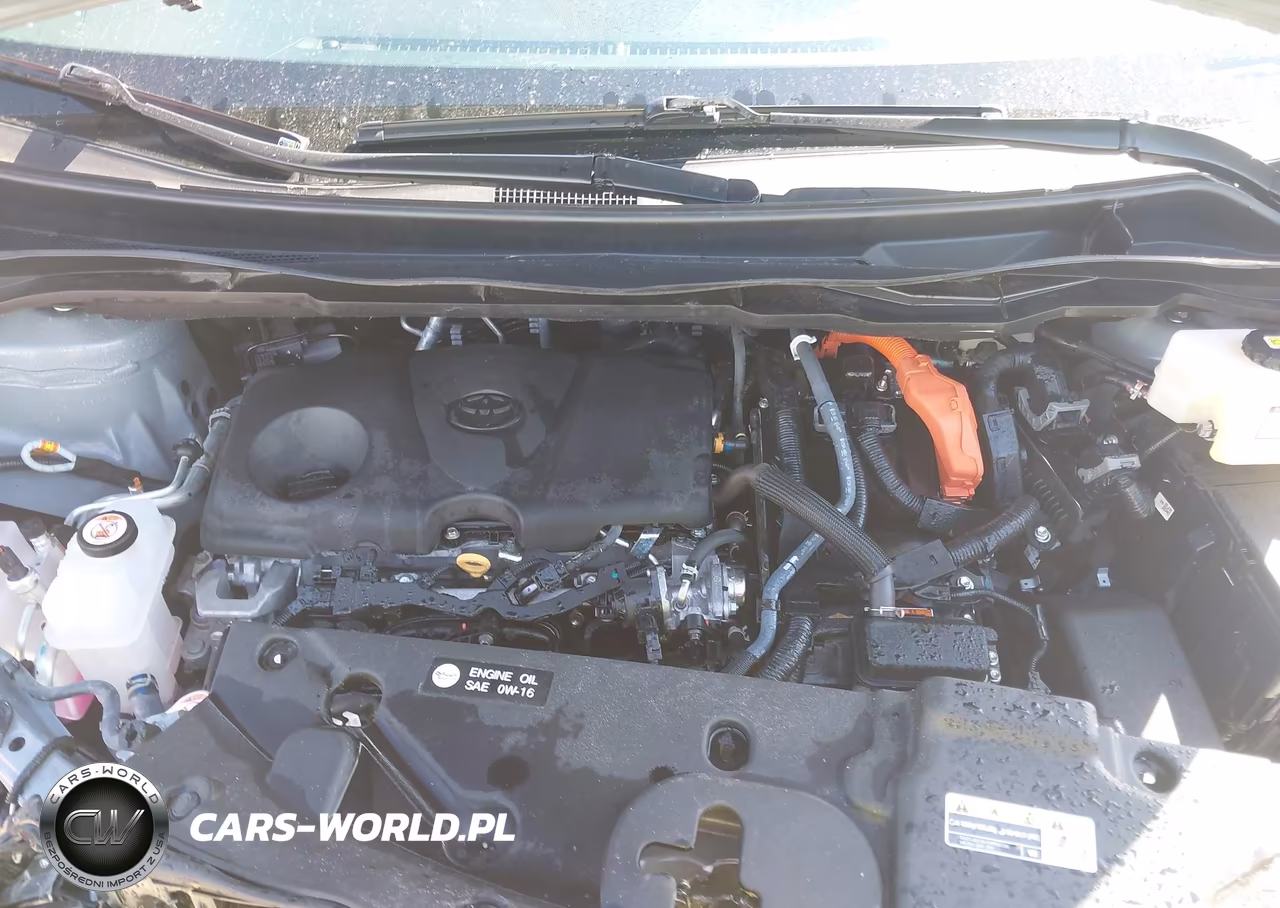 2025 Toyota Sienna Woodland Edition VIN:5TDCSKFC4SS155204 - 10