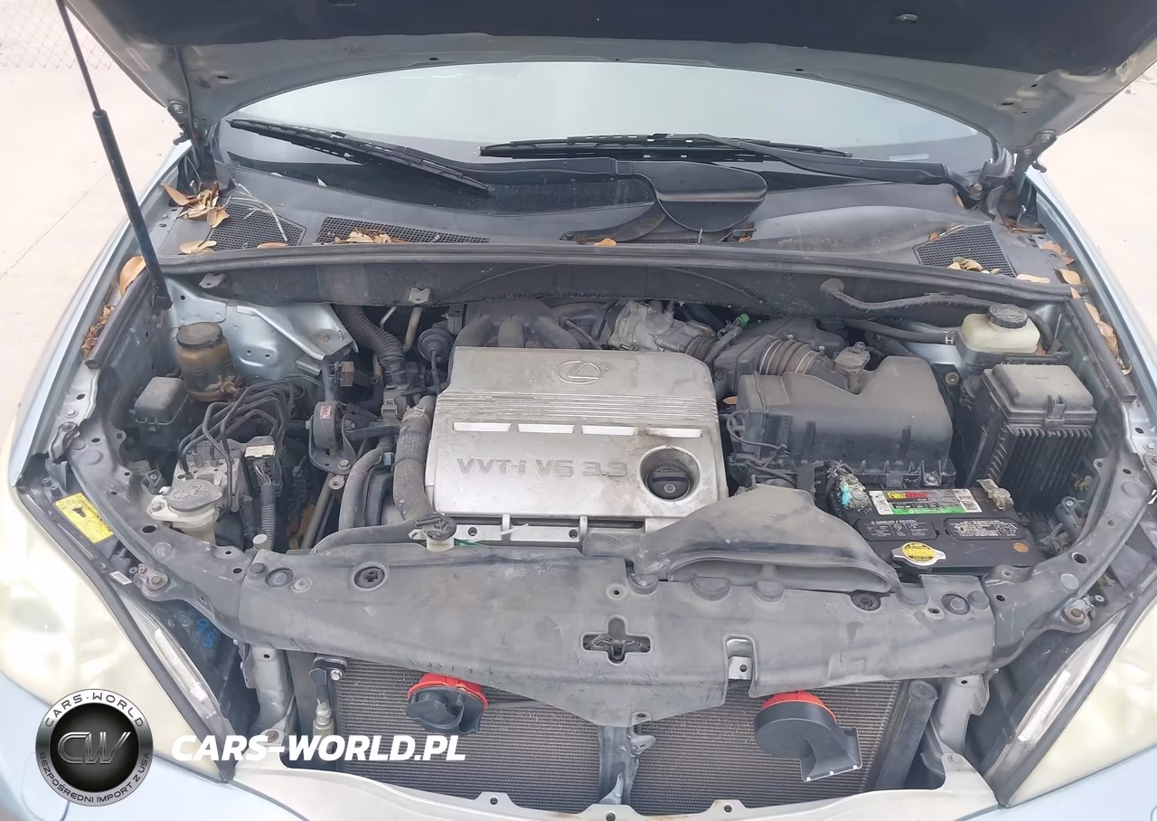 2005 Lexus Rx 330 VIN:JTJGA31U550044966 - 10