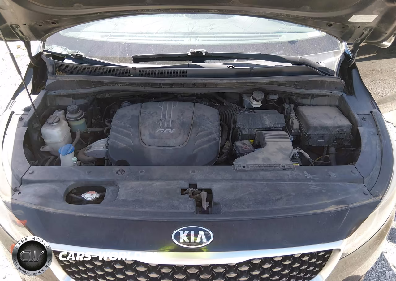 2017 Kia Sedona Lx VIN:KNDMB5C18H6217978 - 10