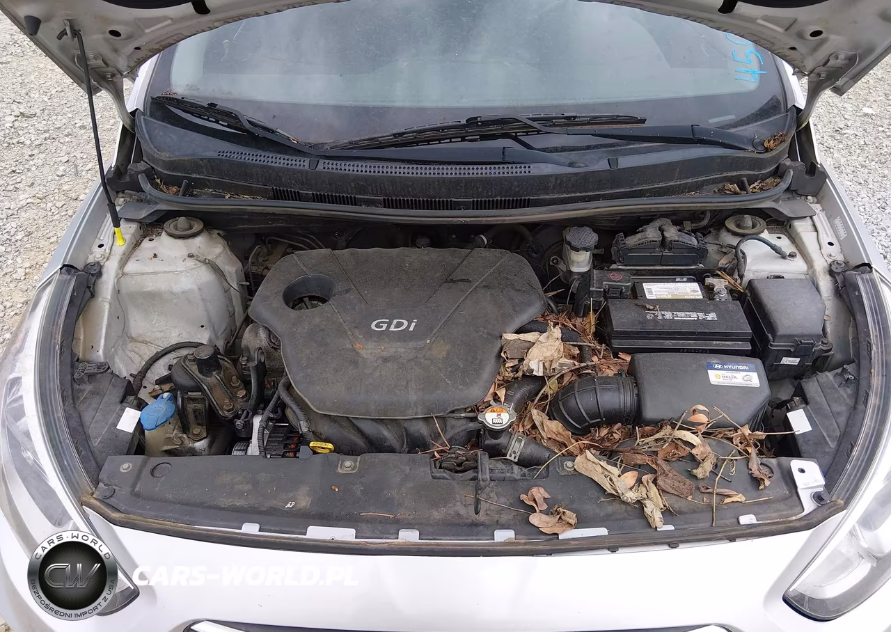 2016 Hyundai Accent Se VIN:KMHCT5AE6GU247985 - 10