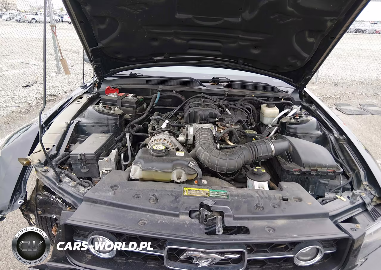 2007 Ford Mustang V6 Deluxe-V6 Premium VIN:1ZVFT80N775302603 - 10