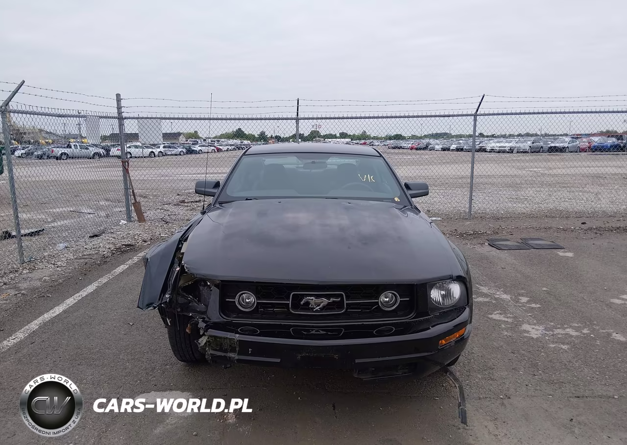 2007 Ford Mustang V6 Deluxe-V6 Premium VIN:1ZVFT80N775302603 - 12