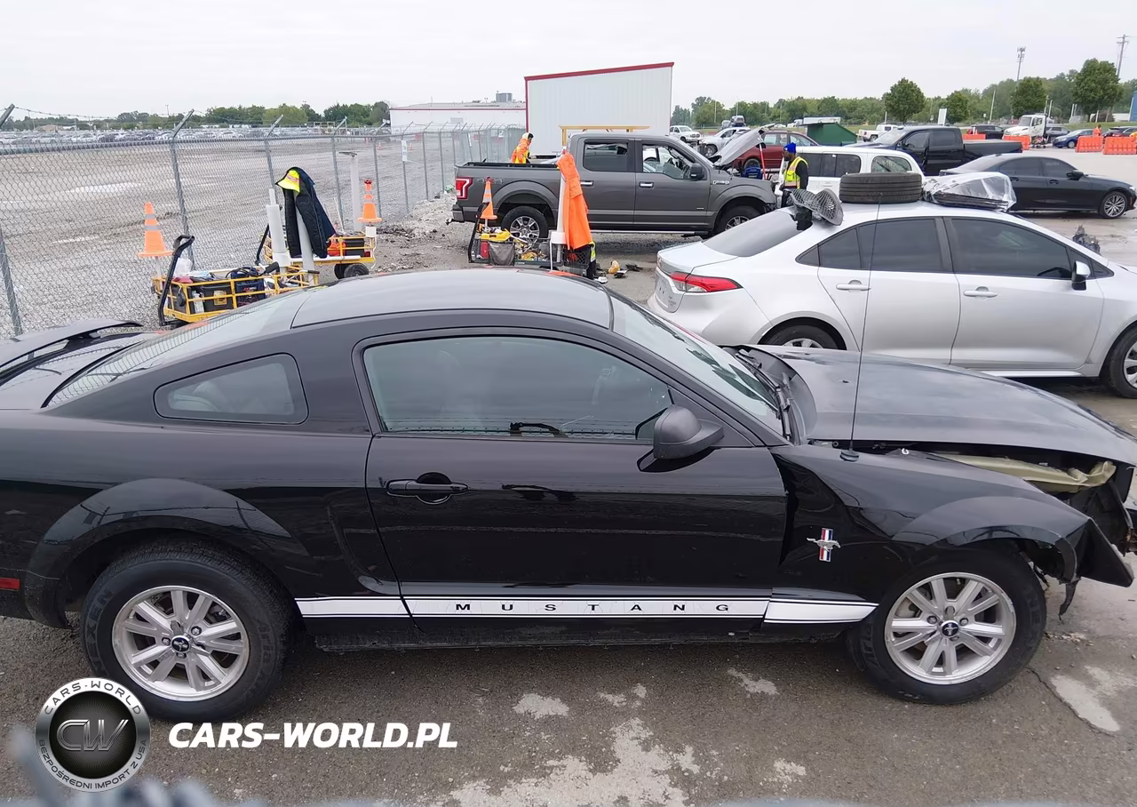 2007 Ford Mustang V6 Deluxe-V6 Premium VIN:1ZVFT80N775302603 - 13