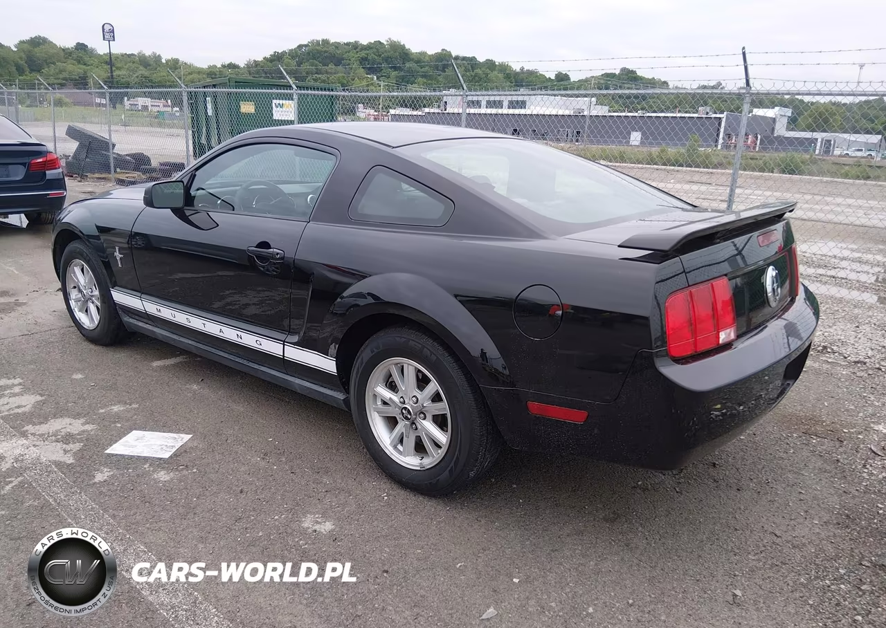 2007 Ford Mustang V6 Deluxe-V6 Premium VIN:1ZVFT80N775302603 - 3