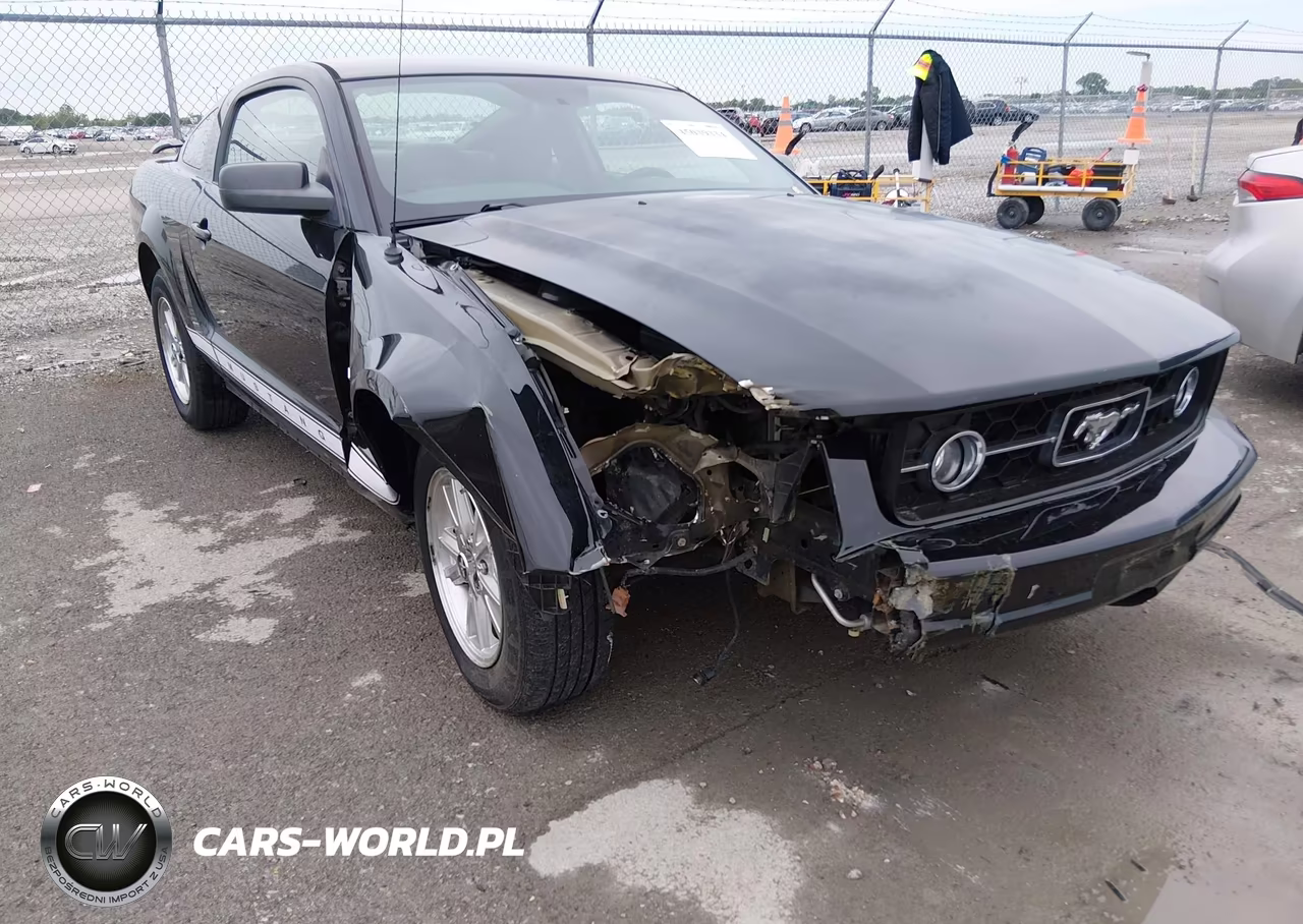 2007 Ford Mustang V6 Deluxe-V6 Premium VIN:1ZVFT80N775302603 - 6