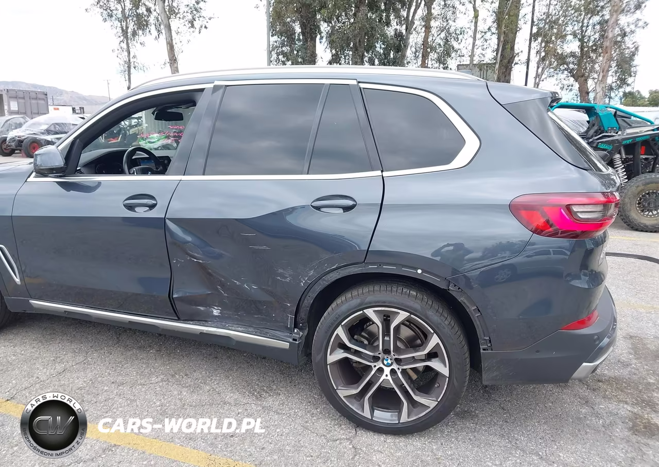 2021 BMW X5 Sdrive40I VIN:5UXCR4C03M9H54289 - 6