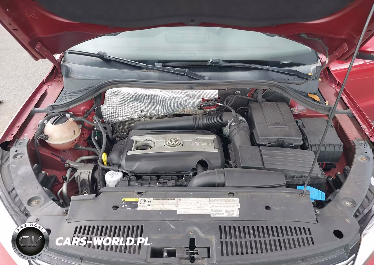 2015 Volkswagen Tiguan S VIN:WVGBV7AX0FW094624 - 10
