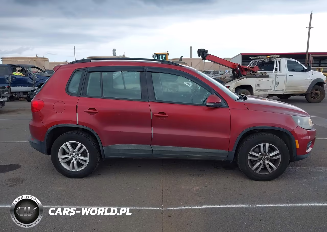 2015 Volkswagen Tiguan S VIN:WVGBV7AX0FW094624 - 13