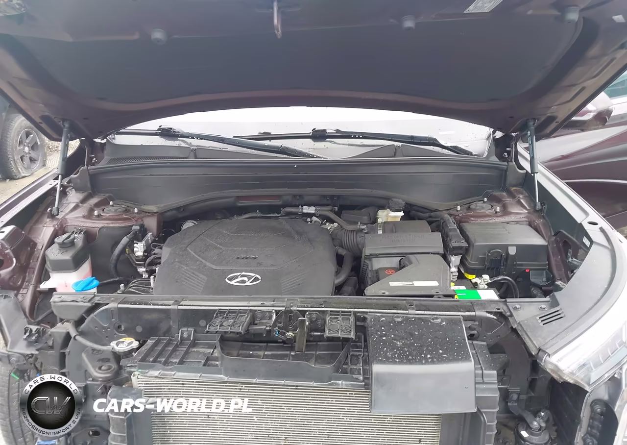 2022 Hyundai Palisade Calligraphy VIN:KM8R7DHE7NU431845 - 10