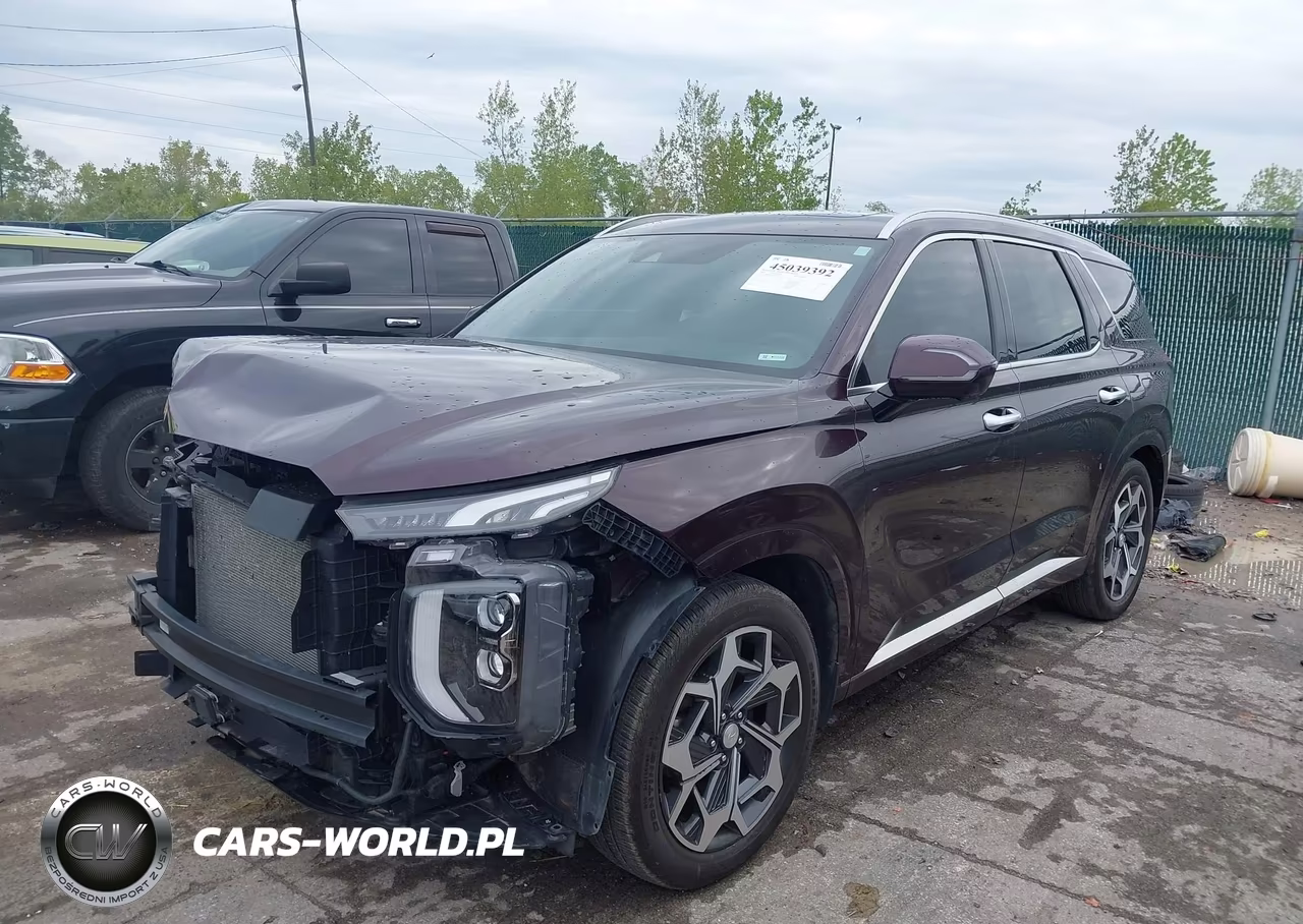2022 Hyundai Palisade Calligraphy VIN:KM8R7DHE7NU431845 - 2