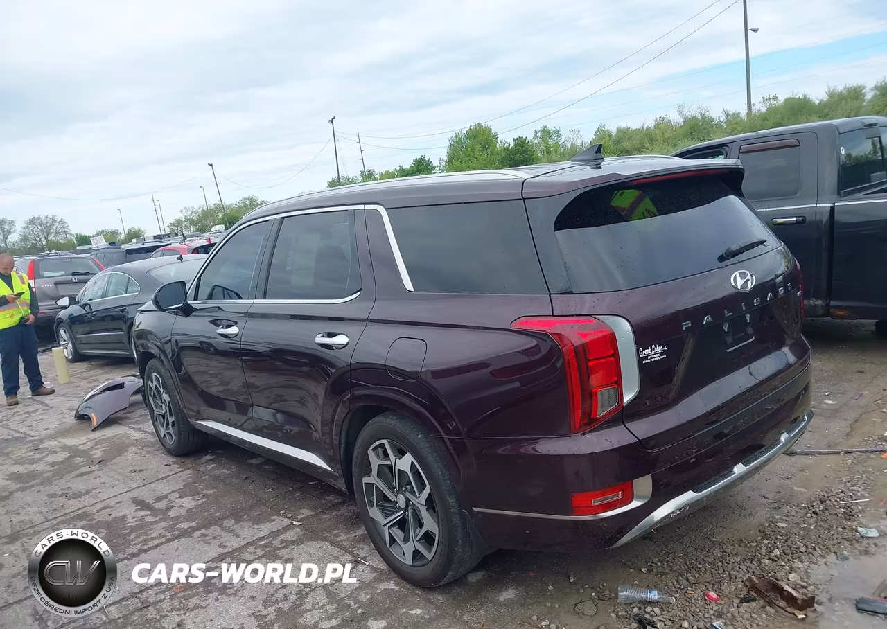 2022 Hyundai Palisade Calligraphy VIN:KM8R7DHE7NU431845 - 3