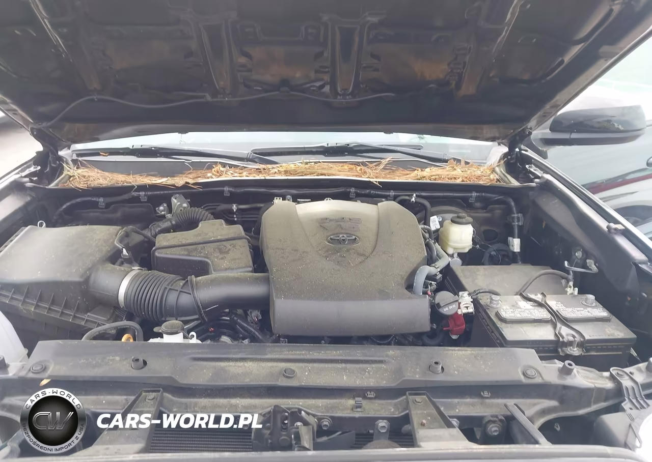 2021 Toyota Tacoma Sr5 V6 VIN:3TYAZ5CN9MT004537 - 10