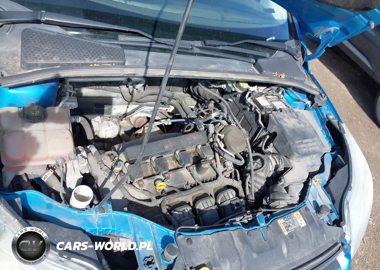 2014 Ford Focus Se VIN:1FADP3K29EL450836 - 10