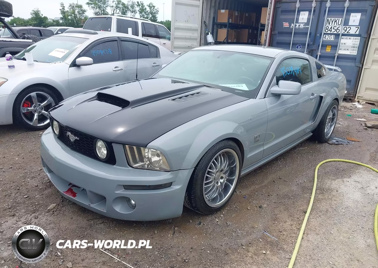 2005 Ford Mustang Gt Deluxe-Gt Premium VIN:1ZVFT82H455237116 - 2