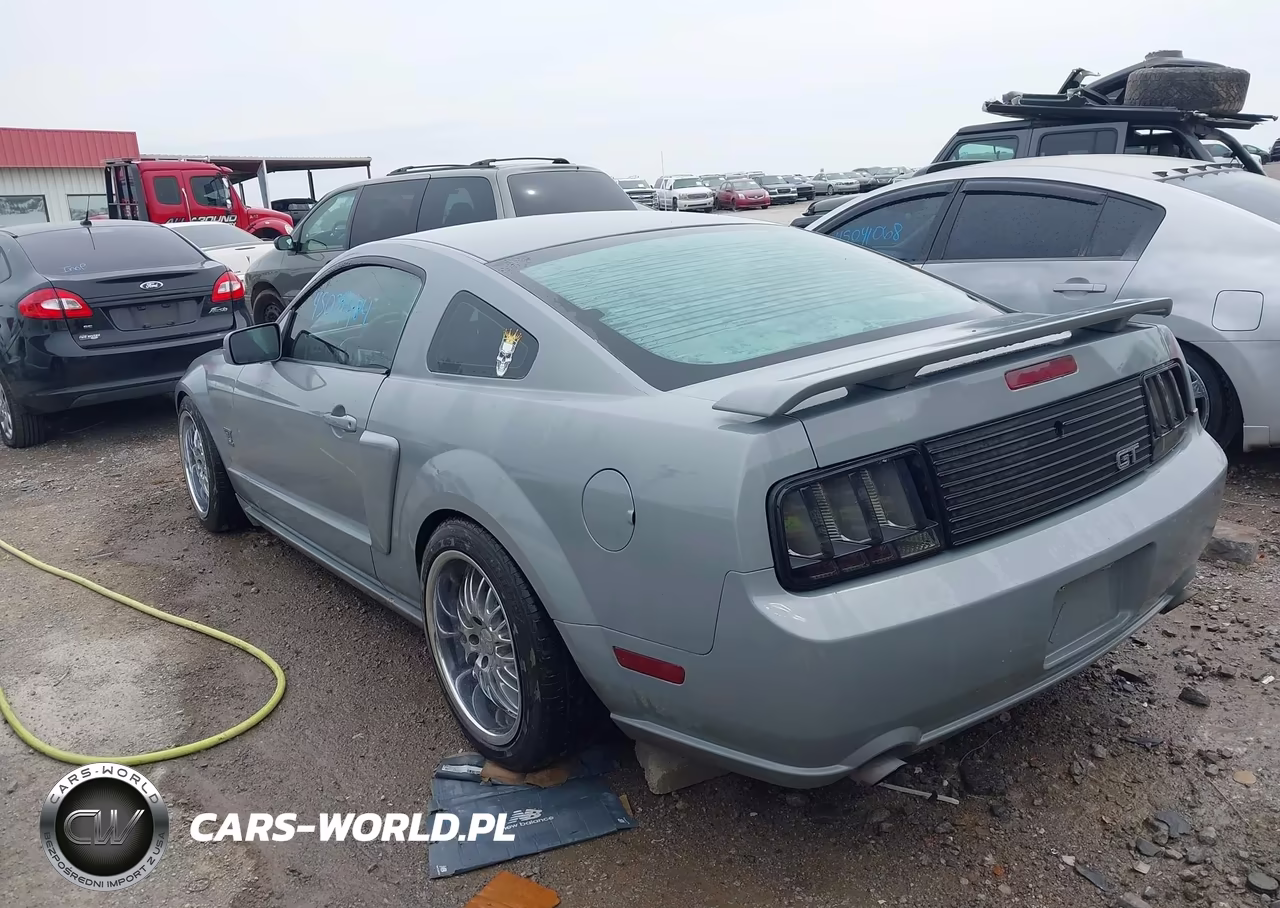 2005 Ford Mustang Gt Deluxe-Gt Premium VIN:1ZVFT82H455237116 - 3