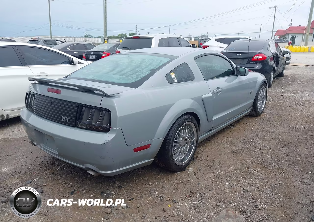 2005 Ford Mustang Gt Deluxe-Gt Premium VIN:1ZVFT82H455237116 - 4