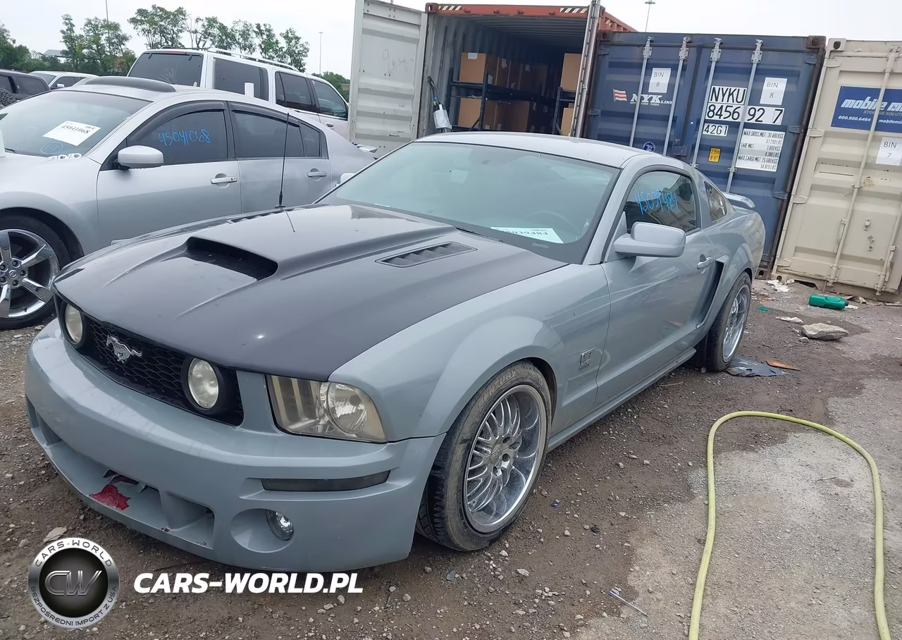 2005 Ford Mustang Gt Deluxe-Gt Premium VIN:1ZVFT82H455237116 - 6