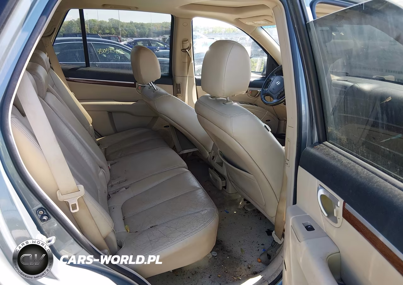 2009 Hyundai Santa Fe Limited VIN:5NMSH73E29H294922 - 8