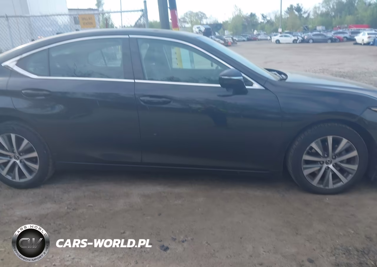 2020 Lexus Es 350 VIN:58ADZ1B15LU053717 - 13
