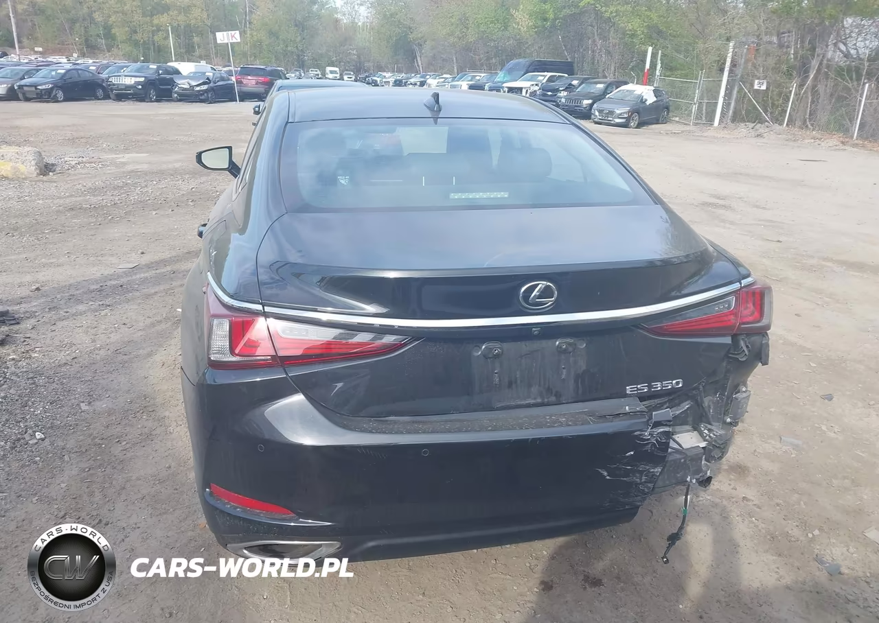 2020 Lexus Es 350 VIN:58ADZ1B15LU053717 - 16